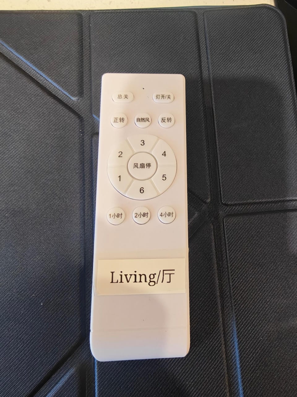Ceiling fan and light remote