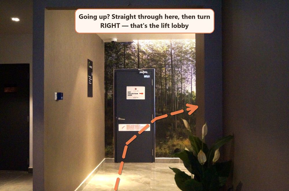Route from the mailbox room to the lift lobby